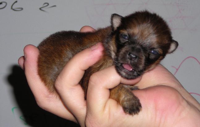 Baby Abby opens her eyes
