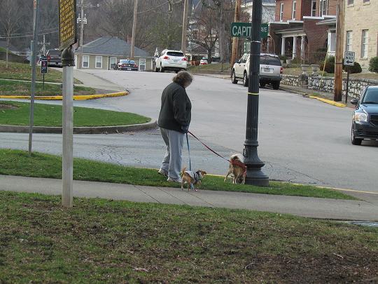Barbara walking dogs in their neighborhood.