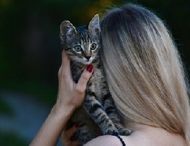 Woman holding a tiny striped ktten next to her face