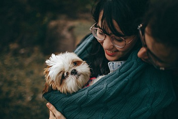 Young couple holding a dog