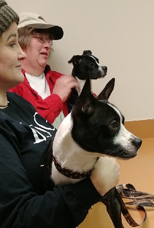 Dylan and Knox at the vet's office for their one-year checkup and vaccinations.