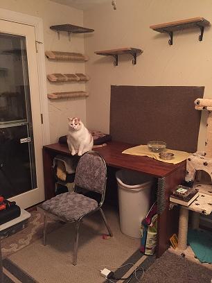 Norman poses on the desk.