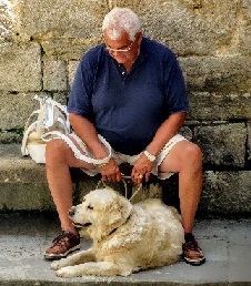 An older dog with a senior man
