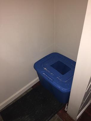 Top entry litter box