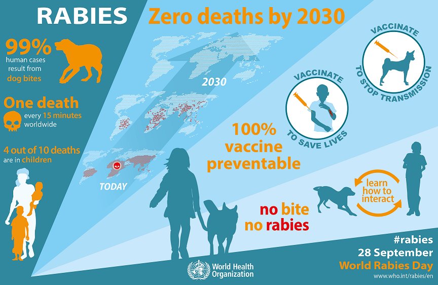 World Rabies Day Infographic